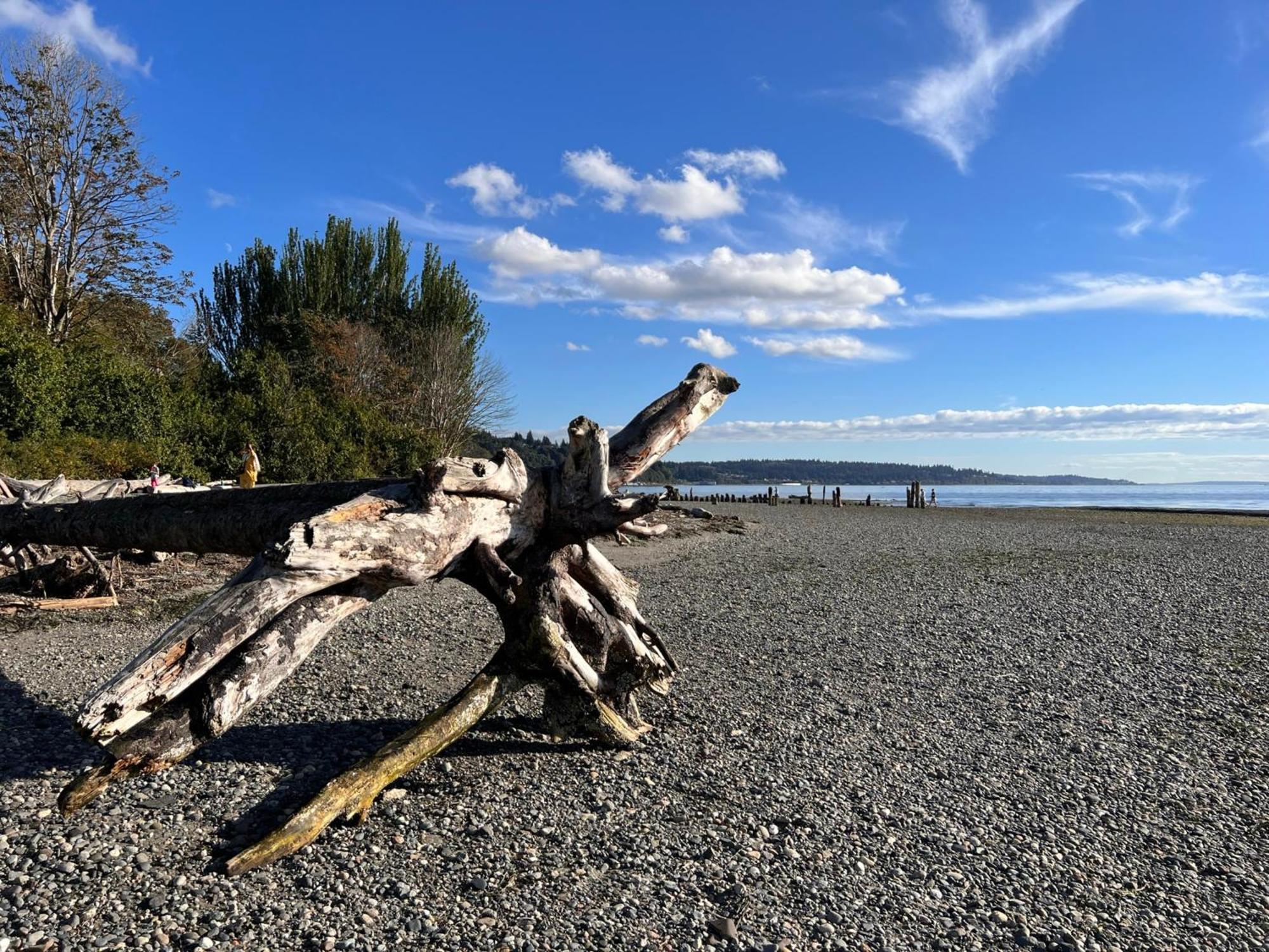 Stunning House With Views Of Puget Sound! Ideal For Family Reunions Edmonds Exterior foto